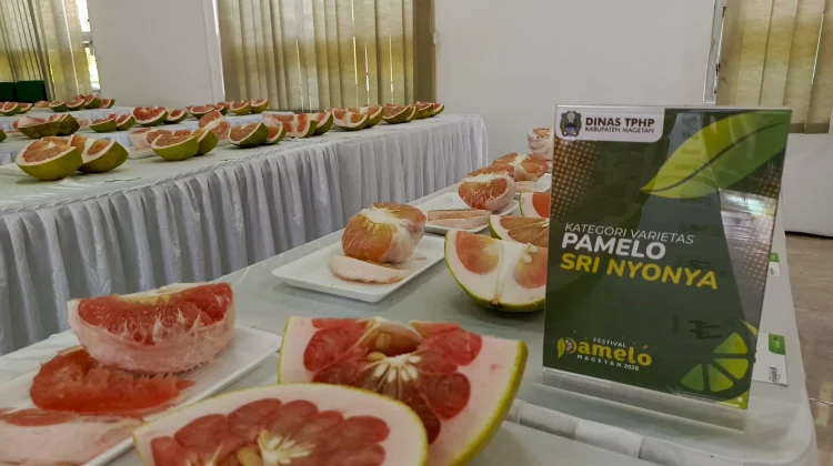 Juara 1 Kategori Sri Nyonya, Tampilkan Kualitas Rasa dan Tampilan Terbaik