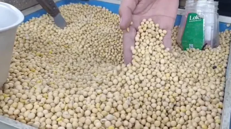 Harga Kedelai Impor Naik, Ini Saran Disperdagkum ke Perajin Tahu-Tempe