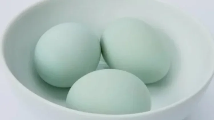 Manfaat Telur Bebek bagi Kesehatan