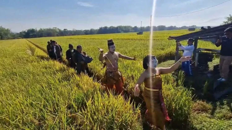 Produksi Padi di Ponorogo Capai 7,5 Ton per Hektare