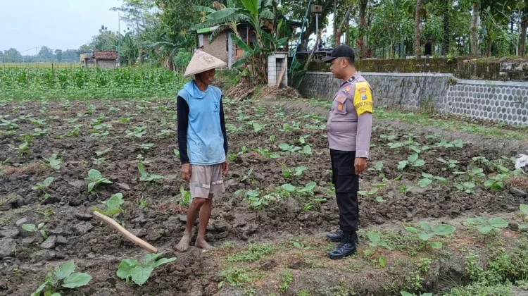 Dorong Ketahanan Pangan, Bhabinkamtibmas Polres Ngawi Pantau Pekarang Warga