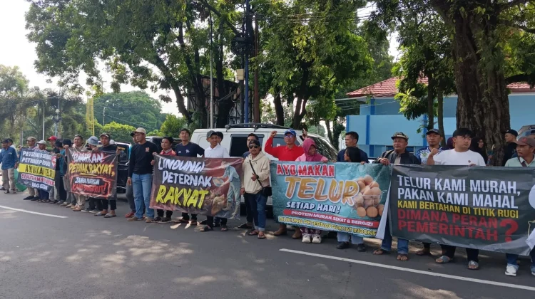 Solusi Harga Telur Anjlok, DPRD Magetan Dorong MBG Serap Produk Peternak Lokal