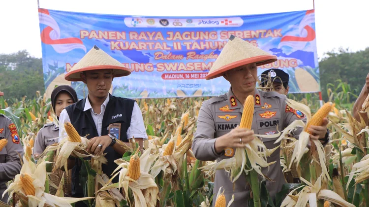 Polres Madiun Gelar Panen Raya Jagung Serentak Kuartal II 2026
