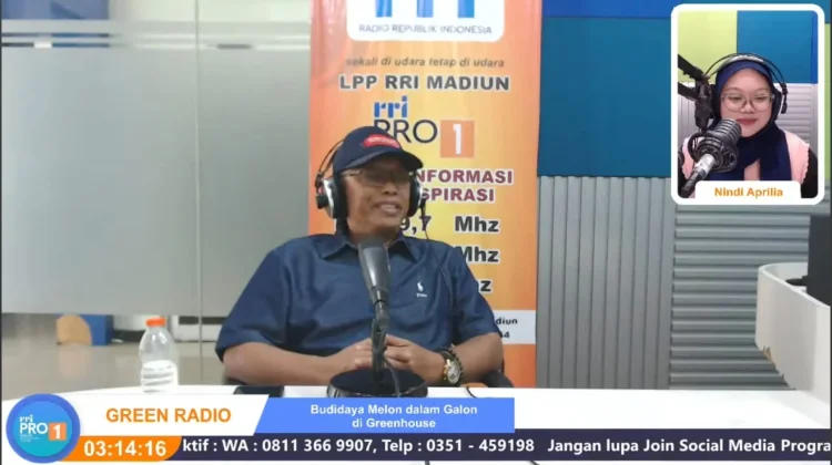 Dari Hobi Tanaman, Greenhouse Melon Premium Jadi Laboratorium Belajar Pertanian