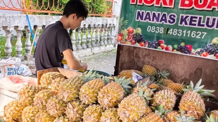 Berkah Idul Adha, Penjual Nanas Kebanjiran Pembeli