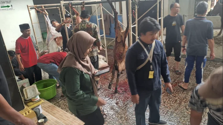 DKPP Kota Madiun Melakukan Pemeriksaan Hewan dan Daging Kurban di Masjid-Masjid.
