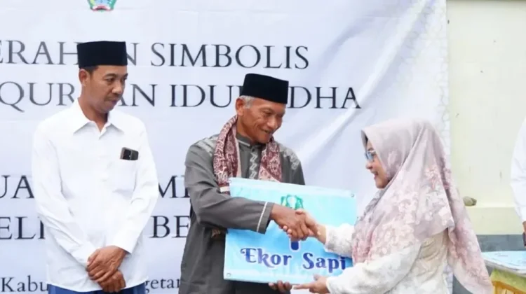 Dua Sapi Kurban Diterima Masjid Agung Baitussalam dari Pemkab Magetan