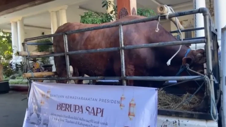 Bantuan Hewan Kurban Presiden dari APBN