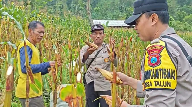 Polres Ponorogo Dampingi Petani Wujudkan Swasembada Pangan