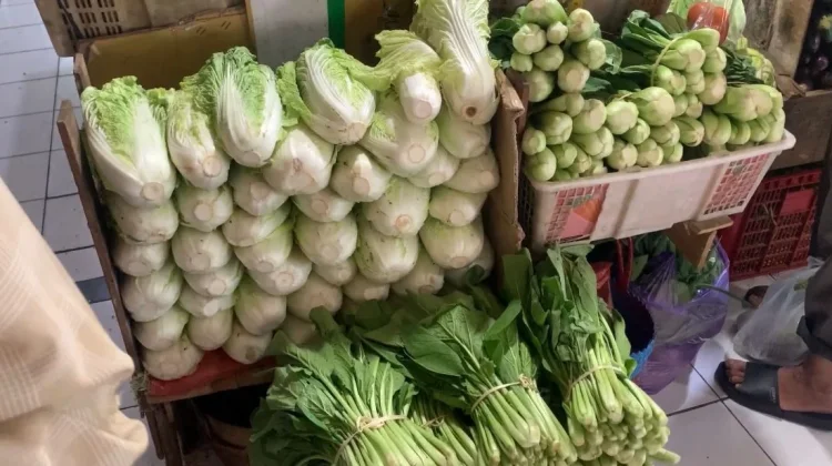 Dampak Cuaca Panas pada Kondisi dan Harga Sayur