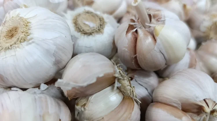 Harga Bawang Putih di Ponorogo Naik, Tembus Rp42 Ribu