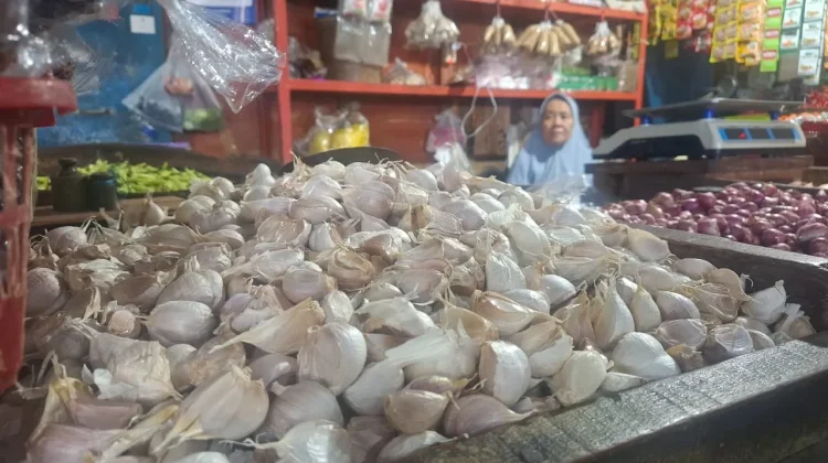 Harga Bawang Putih Naik, Pedagang PBM Keluhkan Omset Menurun