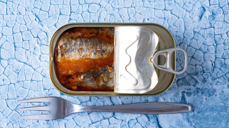 Kaya Omega-3, Mengapa Sarden Layak Menjadi Pilihan Sehari-hari?