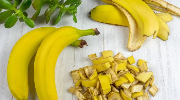 Jangan Dibuang, 5 Sisa Makanan Ini Bermanfaat untuk Menyuburkan Tanaman