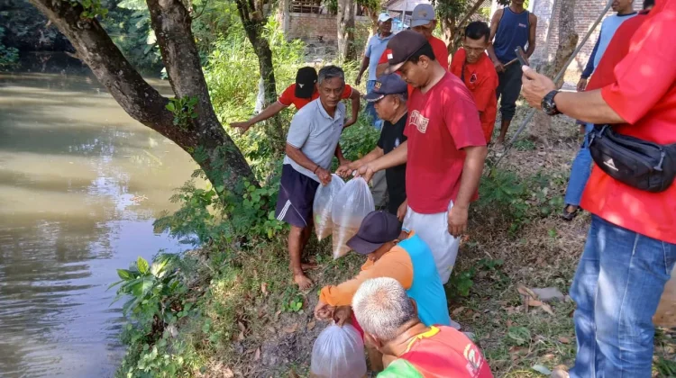 Gerakan Merawat Pertiwi, PDIP Magetan Tebar Benih Ikan untuk Jaga Ekosistem Sungai