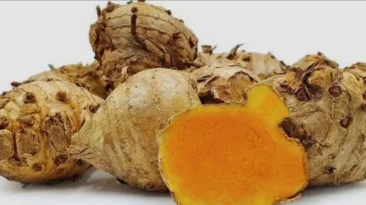 Temulawak, Si Rimpang Ajaib Penjaga Hati dan Penambah Nafsu Makan