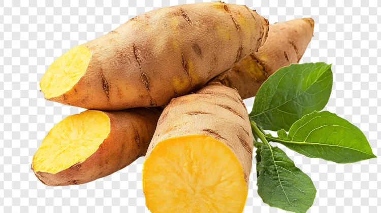 Ubi Kuning dan Rahasia Energi Alami untuk Aktivitas Sehari-hari