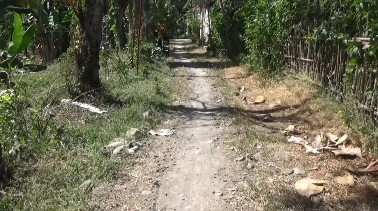 Pemkab Ngawi Rencana Perbaiki Jalan Poros Desa