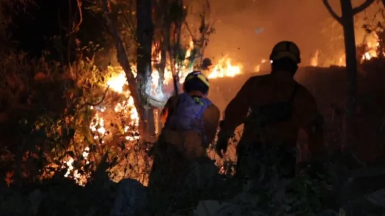 Lima Hektare Hutan Rakyat di Balong Ponorogo Terbakar