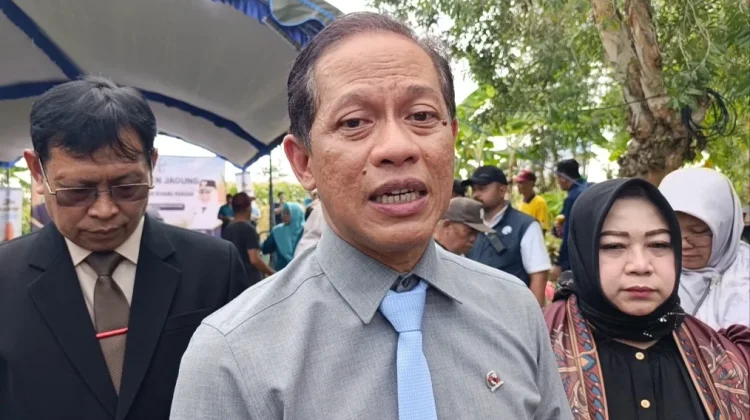 Wamenko bidang Pangan Ingatkan Pemda tak Melakukan Alih Fungsi Lahan