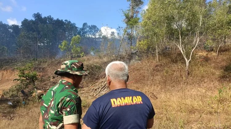 Dipicu Angin Kencang, 10 Hektare Lahan di Pacitan Terbakar