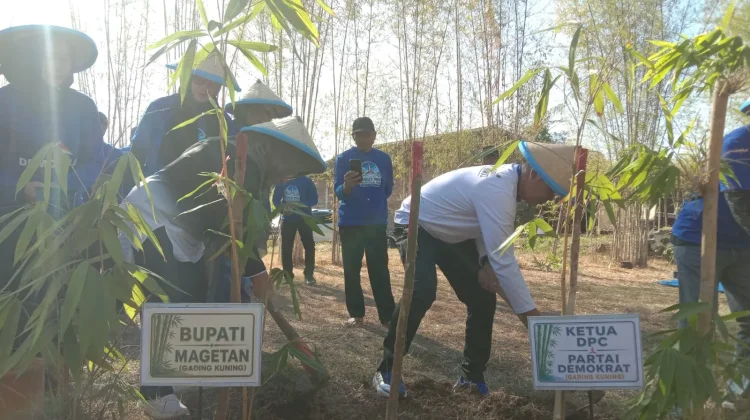 Tanam Ratusan Bambu Warnai HUT Ke-25 Demokrat Magetan