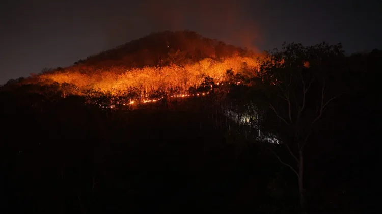 15 Hektar Lahan di Gunung Gombak Ponorogo Terbakar