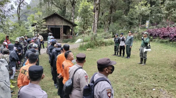 Antisipasi Karhutla, Perhutani Bangun Sekat Bakar di Lereng Lawu