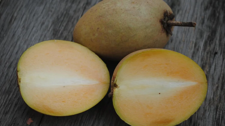Tips Mengonsumsi Buah Ciku