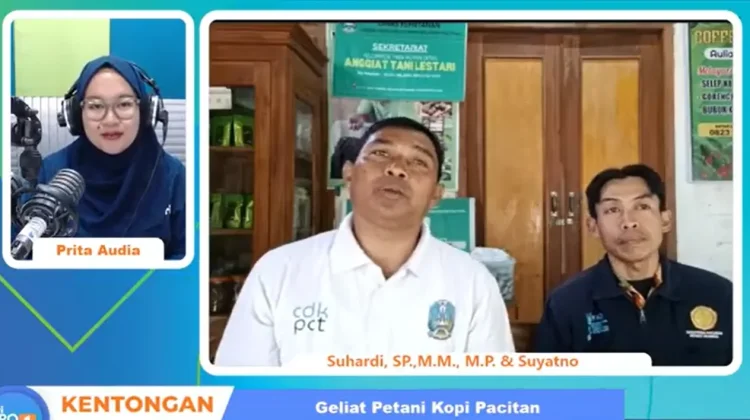 Geliat Positif Petani Kopi di Pacitan, Tingkatkan Perekonomian