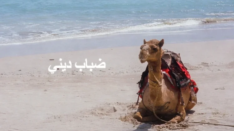 Clever Moose Rilis Single nuansa Arabian Groove Disco Bertajuk "Dhabab Dhini"
