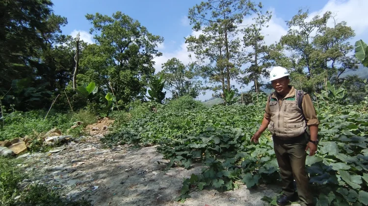 Perhutani Kembalikan Bekas TPA Liar Sarangan Menjadi Kawasan Hutan