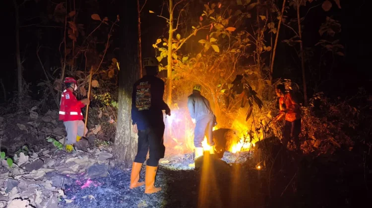 Capai 5 Hektare, Hutan Rakyat di Parang Magetan Terbakar