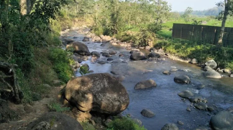 Menjaga Ekonomi Desa Belajar dari Sungai di Wana Wisata Grape