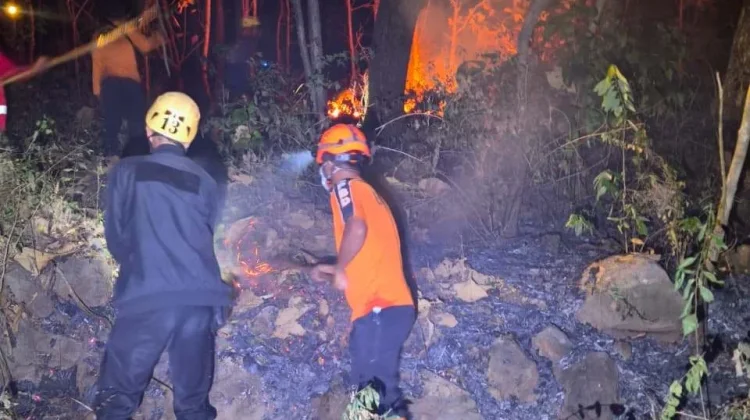 50 Kebakaran Lahan Sepanjang 2026 di Magetan, Mayoritas Karena Pembukaan Lahan
