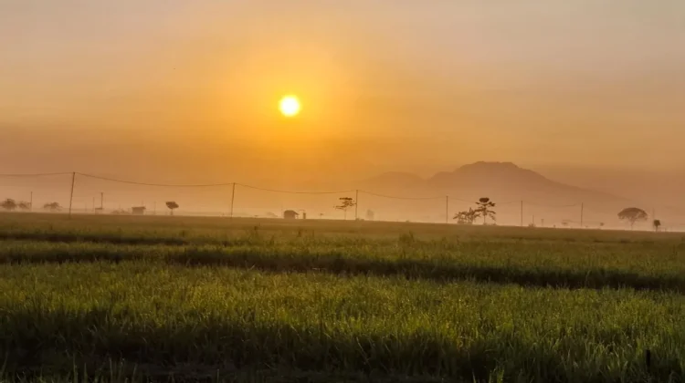 Madiun Dingin, Dampak El Nino Menguat hingga Oktober 2026