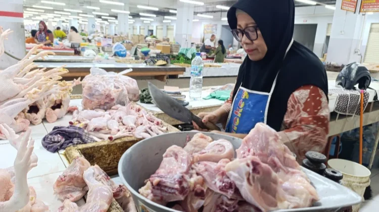 Harga Ayam di Pasar Legi Ponorogo Naik, Pedagang Keluhkan Dampaknya