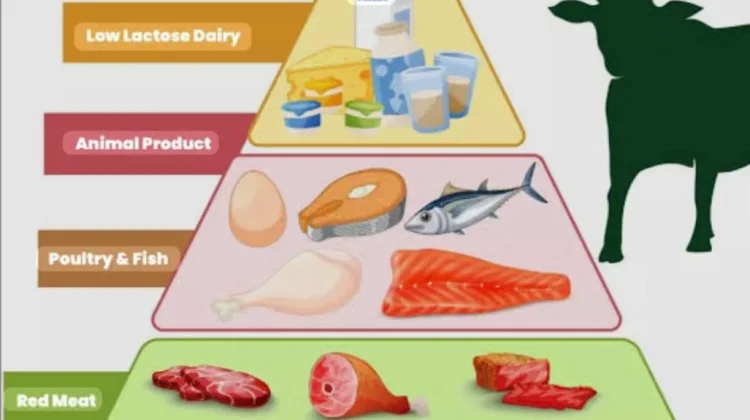 Amankah Diet Karnivora?