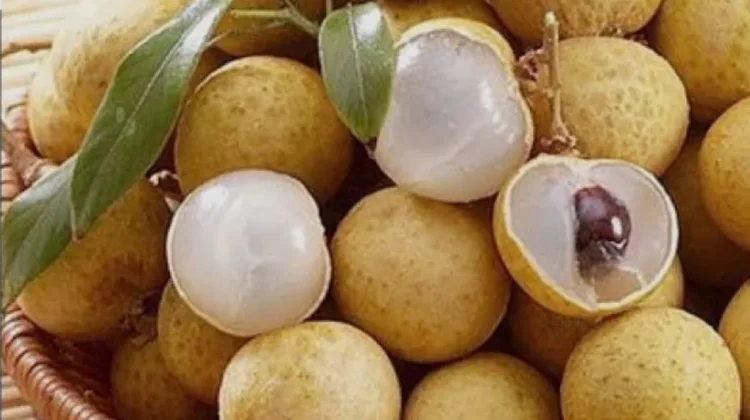Kandungan Buah Kelengkeng Bisa Cegah Anemia dan Baik untuk Kesehatan Ibu Hamil