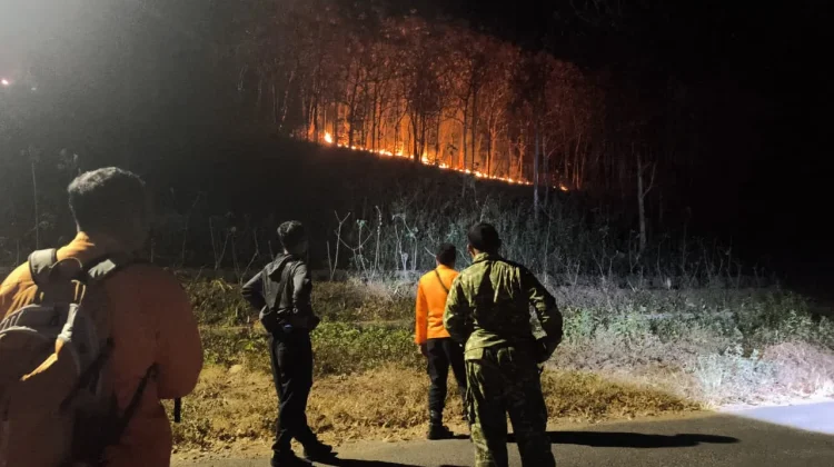 Lagi, 3 Hektar Hutan Rakyat di Mategal Magetan Terbakar