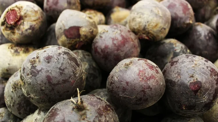 VIRAL! Acar Buah Bit, Begini Cara Membuatnya