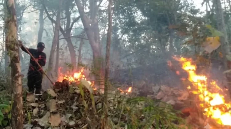 Terhalang Medan, BPBD Kesulitan Padamkan Titik Api di Giripurno Magetan