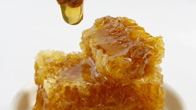 Mengenal Kandungan Nutrisi di Balik Manisnya Madu