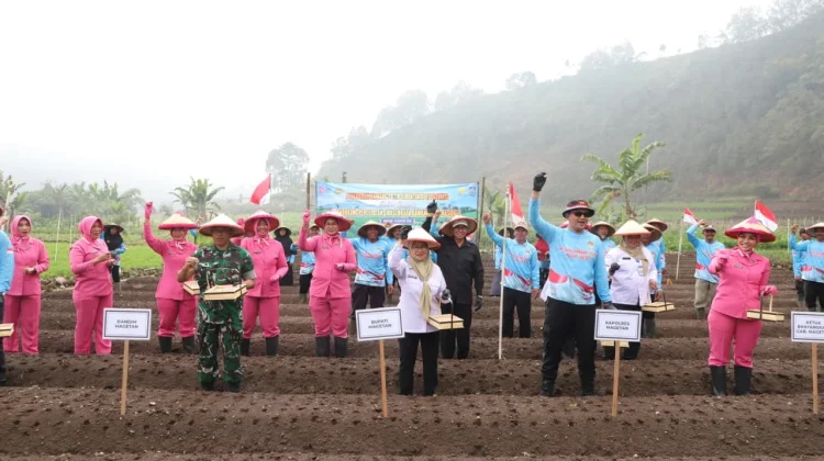 Tanam 20 Hektare Bawang Putih, Magetan Kejar Swasembada Nasional