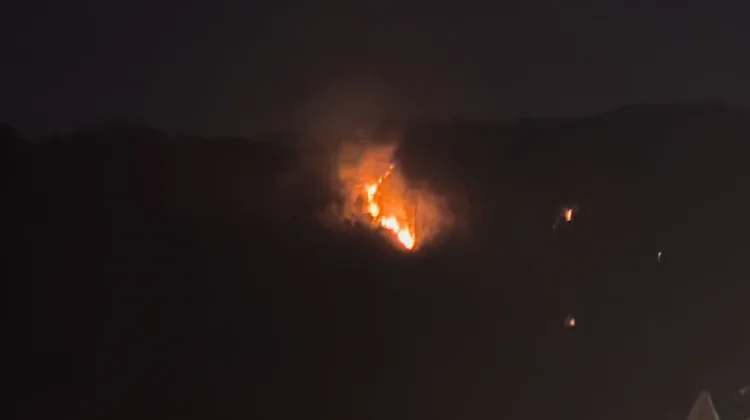 Hutan Jati di Bungkuk Magetan Kembali Terbakar
