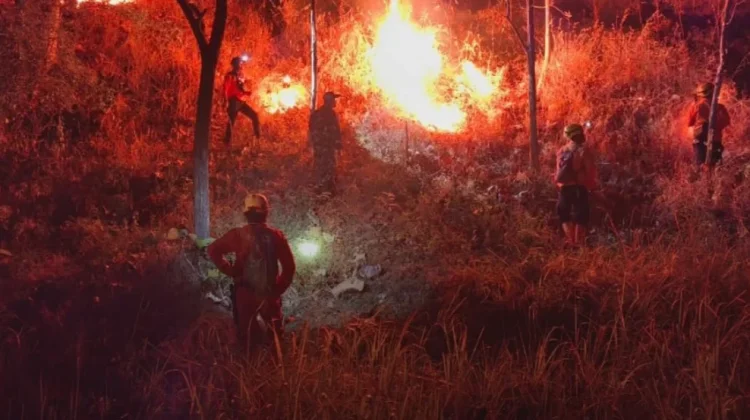 Kawasan Hutan di Desa Truneng Ponorogo Terbakar