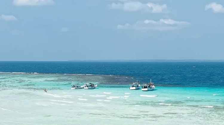 Pulau Cemara, Surga Kecil Di Karimunjawa
