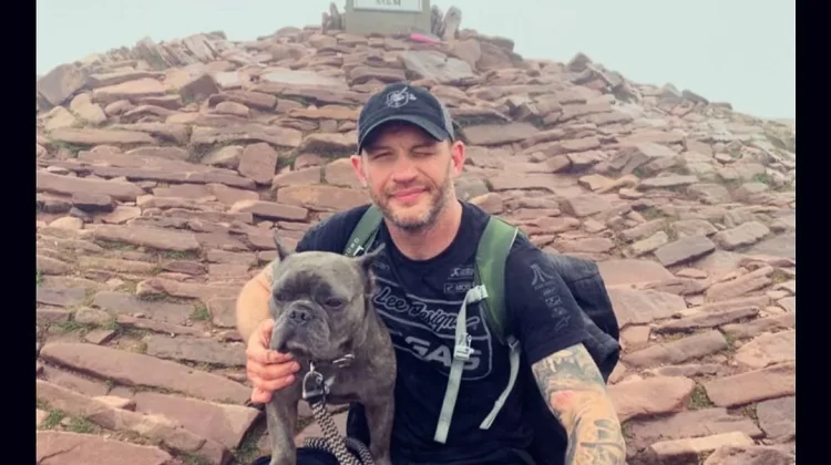 Aktor Tom Hardy Rilis Album Rap Debut Bersama Czarface
