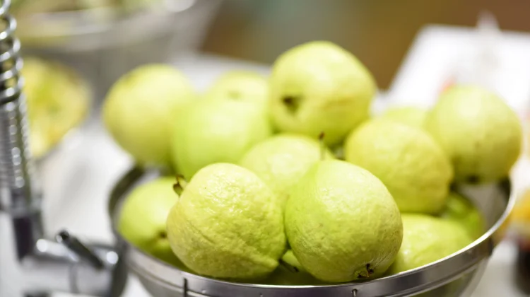 Manfaat Jambu Biji bagi Kesehatan: Kaya Vitamin, Serat, dan Antioksidan