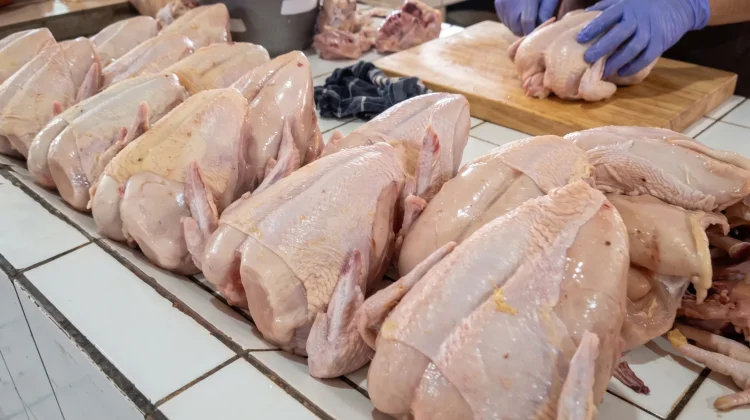 Daging Ayam Ras Picu Inflasi Kota Madiun 0,46 Persen pada Agustus 2026